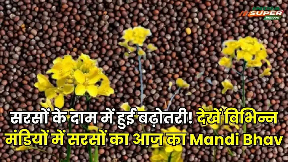 Sarso Ka Bhav