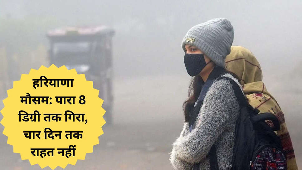 हरियाणा मौसम: पारा 8 डिग्री तक गिरा, चार दिन तक राहत नहीं