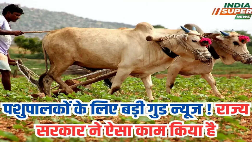 पशुपालकों के लिए बड़ी गुड न्यूज ! राज्य सरकार ने ऐसा काम किया है