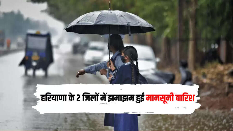 Heavy monsoon rains in 2 districts of Haryana