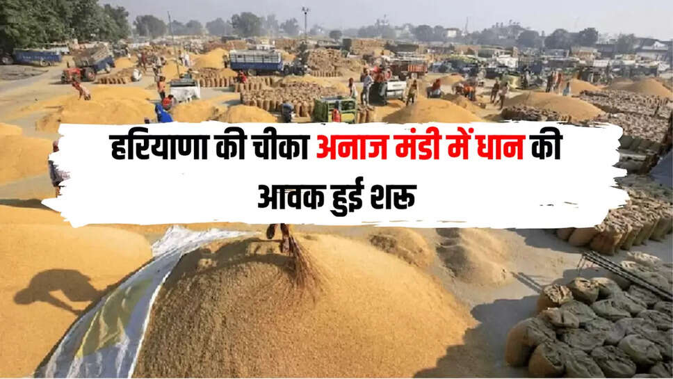 haryana news
