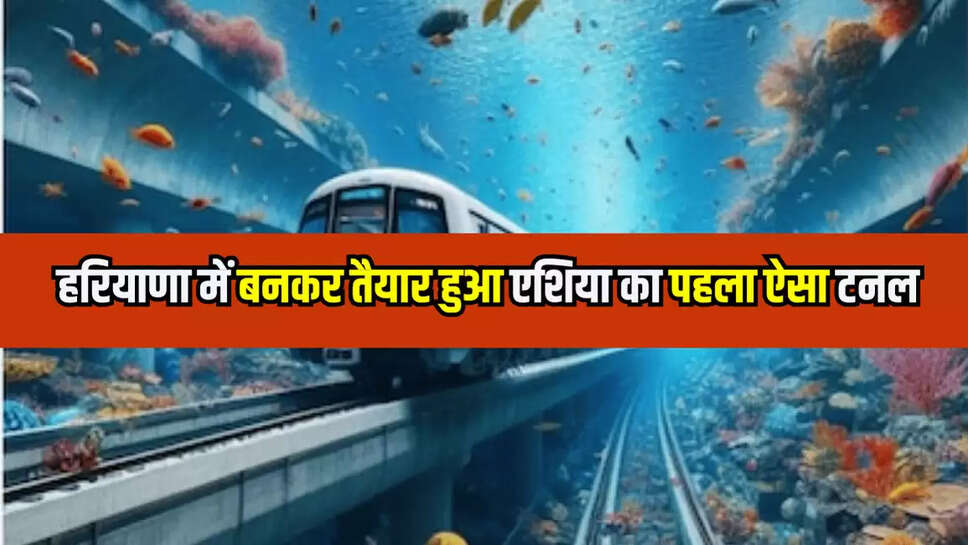 haryana news