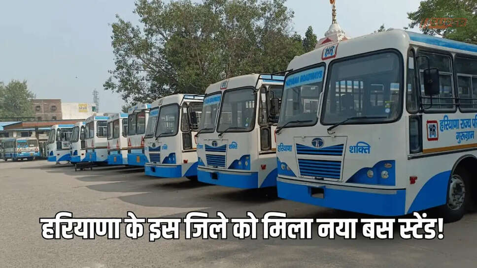 haryana news
