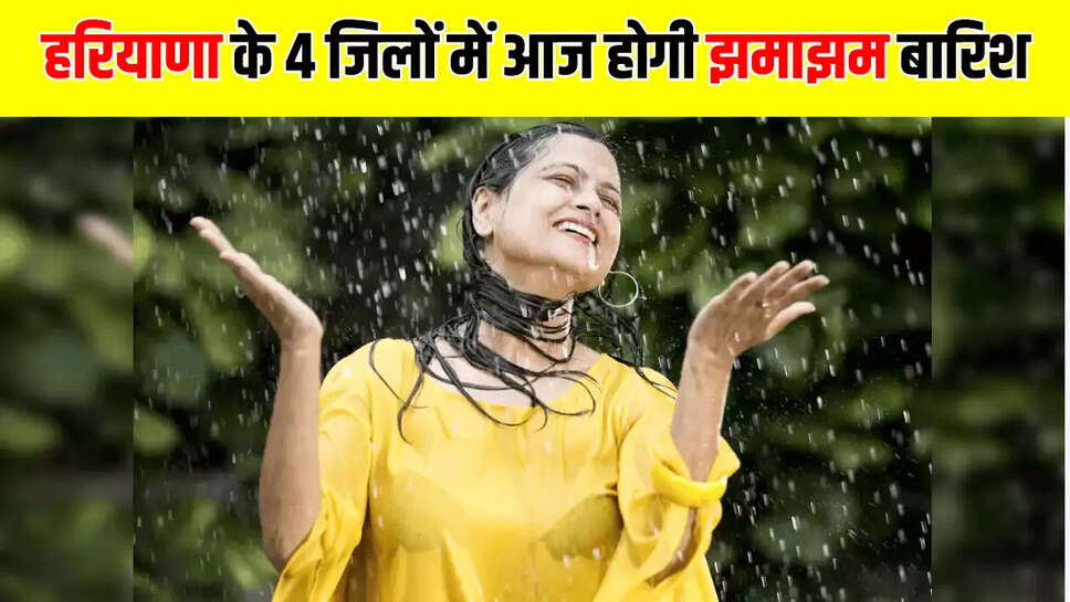 haryana weather update