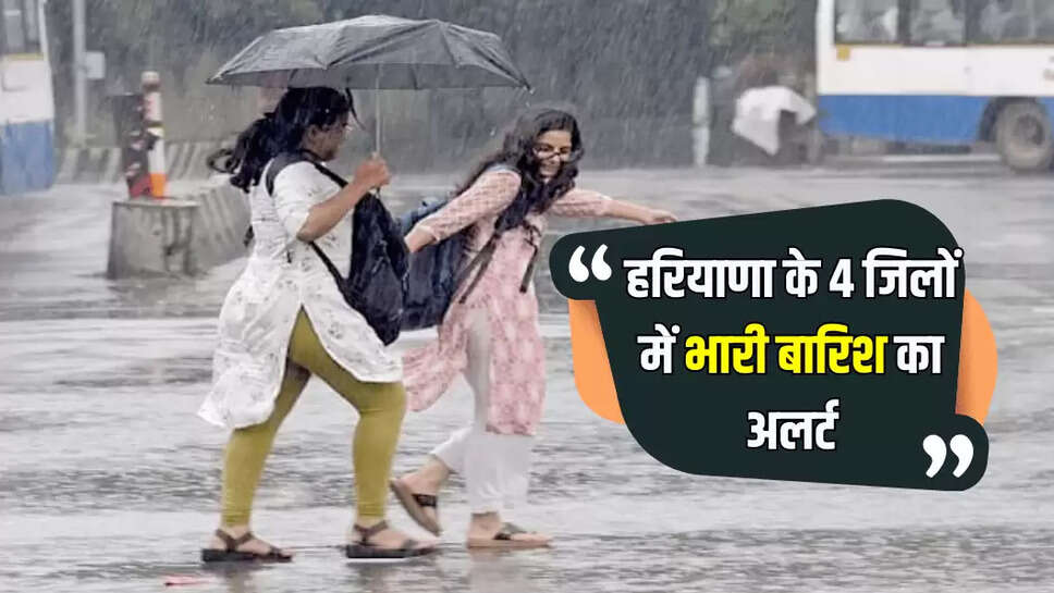 haryana weather update 
