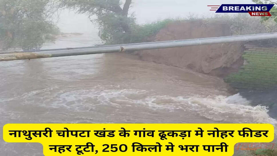Chopta News:नाथुसरी चोपटा खंड के गांव ढूकड़ा मे नोहर फीडर नहर टूटी, 250 किलो मे भरा पानी
