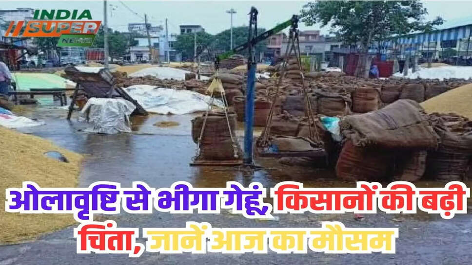 ओलावृष्टि से भीगा गेहूं, किसानों की बढ़ी चिंता, जानें आज का मौसम