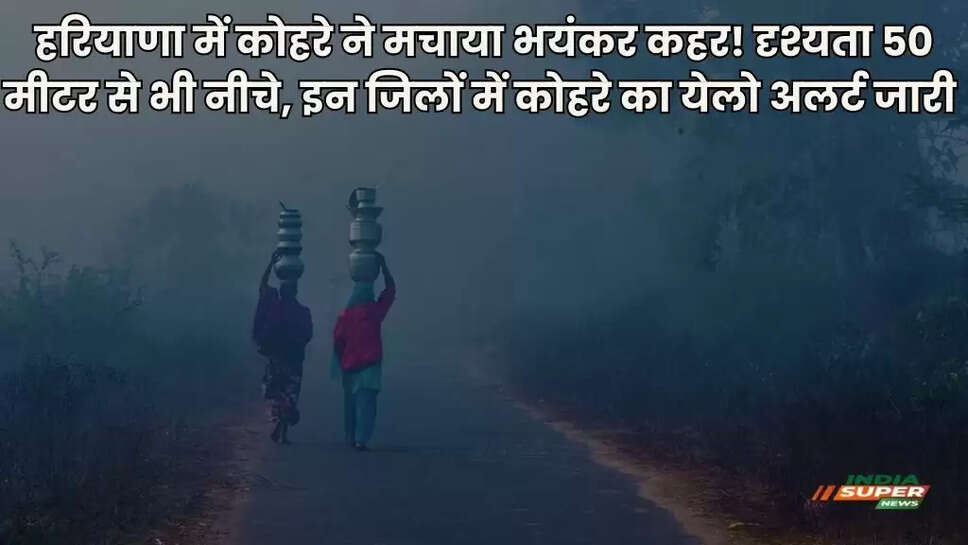 Haryana Weather News